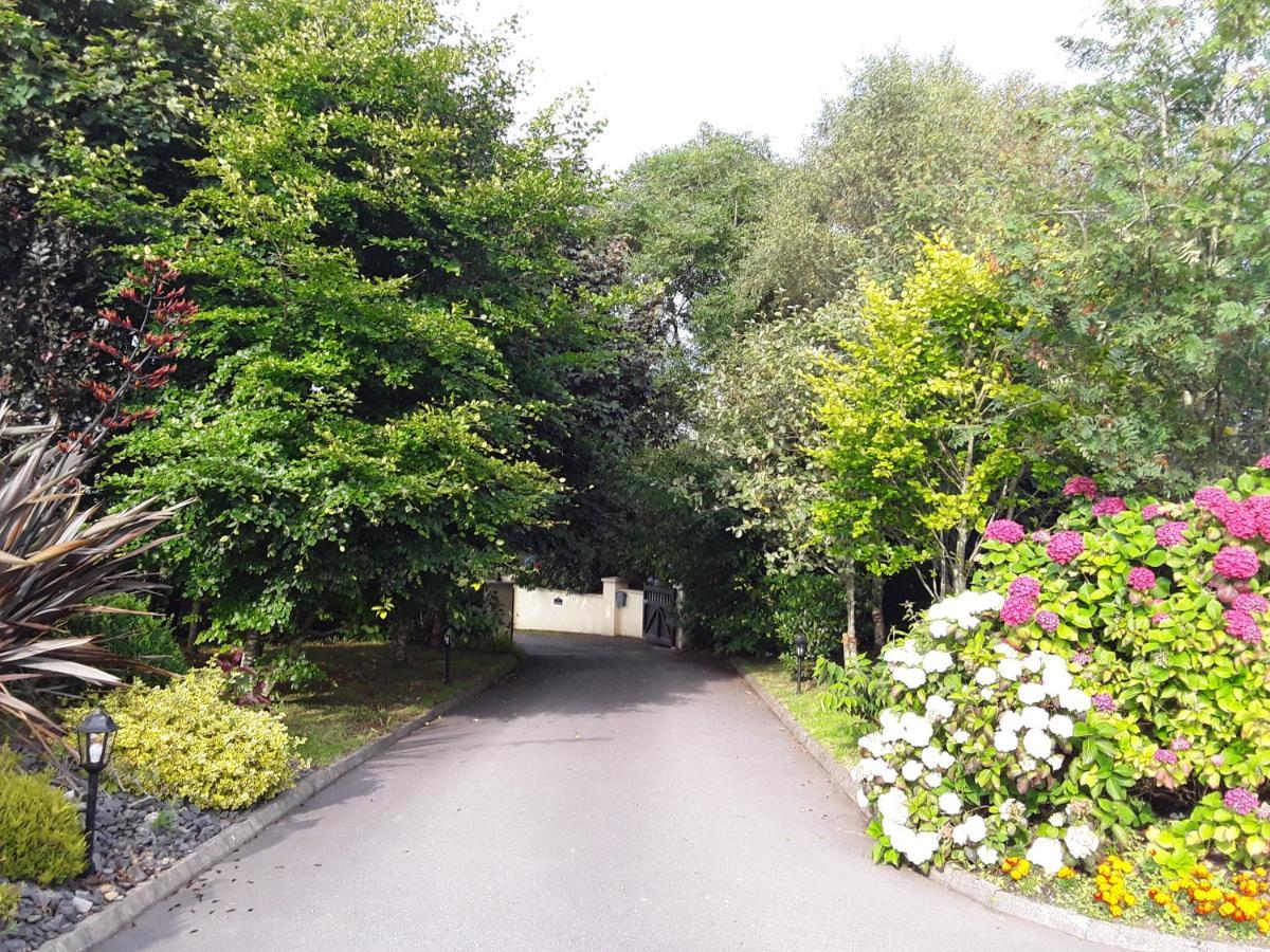 Ard Na Greine Bed & Breakfast Ballylickey מראה חיצוני תמונה